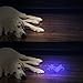 Black Light UV Light Flashlight: Vansky 395nm 12 LED Ultraviolet Blacklight Flashlight Mini Pet Urine Detector for Dog/Cat, Dry Stains, Spot Scorpions, Resin Curing