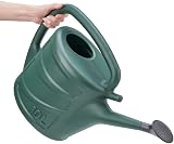 Accurate Watering Can 10L with Spray Rose Garden Watering Tool view 4