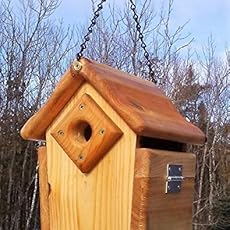 Tbnup 2acb Hanging Acorn Gallon Glass Jar Squirrel Feeder Square