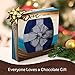 DOVE PROMISES Holiday Milk Chocolate Gift 12-Ounce Box
