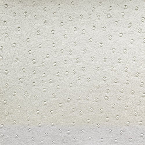 Faux Leather Ostrich Vinyl 56 Inch Fabric by the Yard (F.E. (Off White)