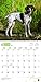 German Shorthaired Pointers 2018 12 x 12 Inch Monthly Square Wall Calendar with Foil Stamped Cover, Animals Dog Breeds