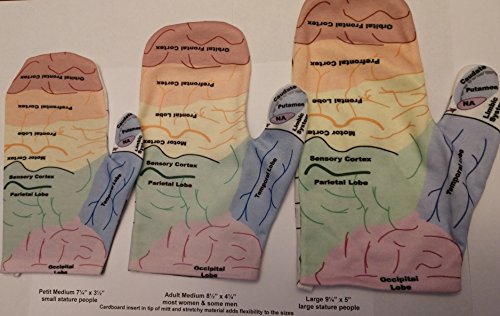 3 Handy+Brain+Model+B+1+2+medium