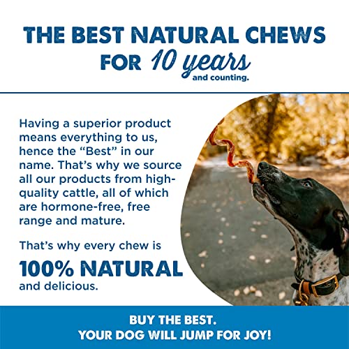 Best Bully Sticks All Natural 1012 Inch Curly Bully Sticks Dogs