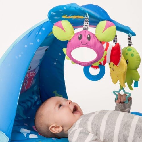 infantino wonder whale kicks and giggles gym