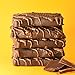 FITCRUNCH Protein Brownies | Designed by Robert Irvine | World’s Best Protein Brownie | 190 Calories, 15g of Protein & Soft Brownie Texture (Chocolate)