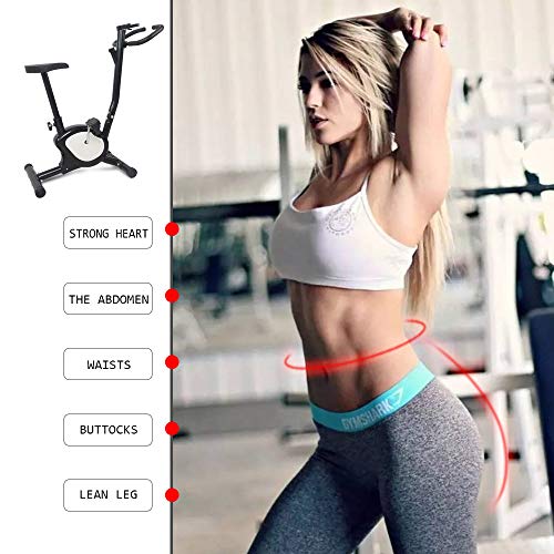 Apelila Exercise Bike Stationary Bike,Cardio Trainer Spinning Bicycle Indoor Cycling Bike (Black+WH)