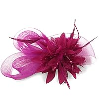 HSRT Women Brides Wedding Party Gauze Fascinator Headwear Headband (Rose Red)