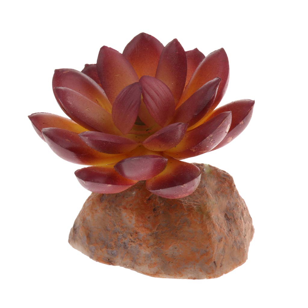 FLAMEER Reptile Box, Snake, Frog, Lizard,Chameleons,and Tortoise Turtle,Vivarium Succulent Plants Decor Ornament Artificial Bonsai Decoration #1