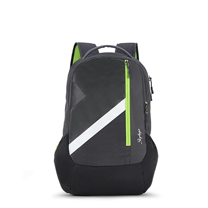 Skybags Felix 50 Ltrs Grey Laptop Backpack (SBFEL02GRY)