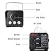 Easife Professional Fog Machine Halloween Automatic Smoke Machine 600W Remote Control with Lights LED for Continuous Fog&Independent-Used Lighting Effects Chrismas Party Wedding Stage