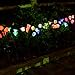 Doingart Outdoor Solar Garden Lights - 2 Pack Solar Powered Lights, Multi-Color Changing LED Solar Stake Lights for Garden, Patio, Backyard (Tulip and Morning Glory Flower)