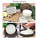 LANBENA Snail Facial Acne Repair Whitening Cream Day Cream for Repairs Acne Scars+Tightens Pores+Anti Wrinkle Anti Aging Moisturizing Firming
