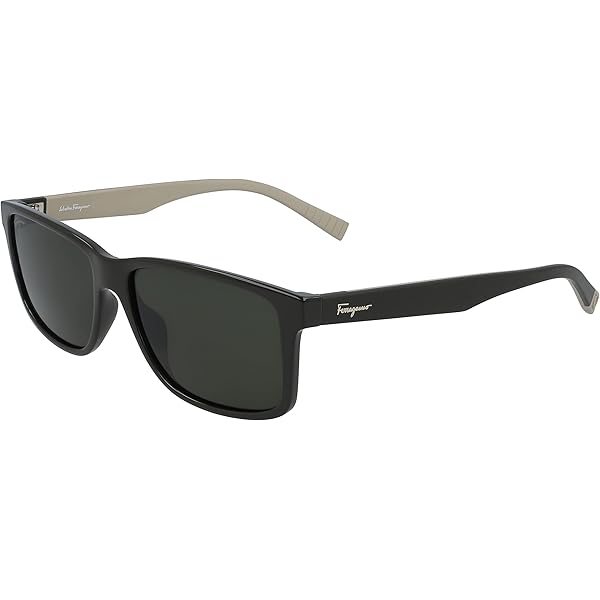 Salvadore Ferragamo サングラス Salvatore Ferragamo SF2938