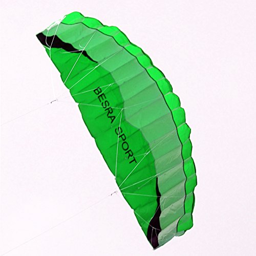 Besra New Arrival Huge 102inch/98inch Dual Line Parachute Stunt Kite with Flying Tools 2.6m/2.5m Power Parafoil Kitesurfing Training kites Outdoor Fun Sports for Beach (102inch Green)