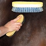 Intrepid International Pig Bristle Horse Body Brush