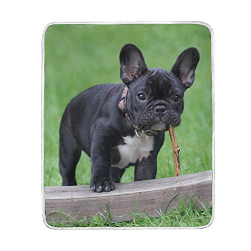 Youran Cute French Bulldog Blanket Comfortable Luxury
