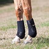 Back on Track Therapeutic Horse Exercise Boots for Front Legs, Black, Large