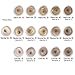 Lauren Brooke Cosmetiques Cream Foundation Natural and Organic Makeup (Neutral No. 30)