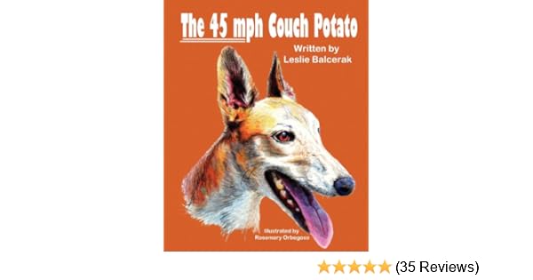 The 45 Mph Couch Potato Leslie Balcerak Rosemary Orbegoso