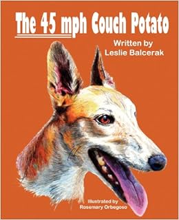 The 45 Mph Couch Potato Leslie Balcerak Rosemary Orbegoso
