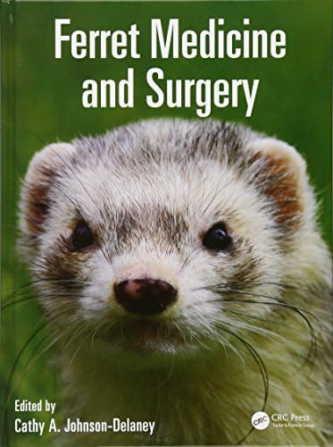 Canine and Feline Respiratory Medicine: Johnson, Lynelle R