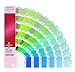 PANTONE PANTONE GG1505, PLUS SERIES PREMIUM METALLICS GUIDE