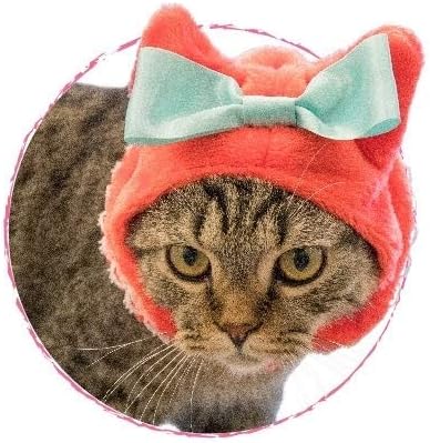 Amazon Co Jp 追跡番号付き ねこの帽子 猫の帽子 ネコ耳 ブライス 人形 犬 ねこのかぶりもの テディベア ぬいぐるみ ペット用品 Amazon Co Jp 追跡番号付き ねこの帽子 猫の帽子 ネコ耳 ブライス 人形 犬 ねこのかぶりもの テディベア ぬいぐるみ ペット用品