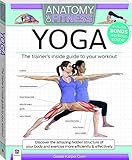 Anatomy of Fitness Yoga by 