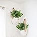 GTIDEA 4pcs Artificial Boxwood Bushes Fake Shrubs Plastic Greenery Plants House Office Garden Patio Yard Indoor Outdoor Decor
