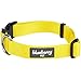 Blueberry Pet Essentials Small Dog Collar | Girl Dog Collars Fall | Female Dog Collar Small | Blazing Yellow Dog Collars for Small Dogs | Quick Release Dog Collar | Blazing Yellow Nylon Dog Collar