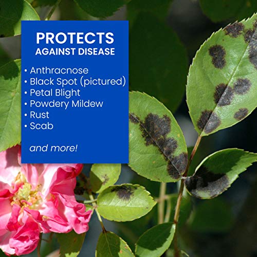 BioAdvanced 3in1 Insect Disease and Mite Control I, ReadytoSpray, 32 oz White Pricepulse
