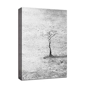SIGNFORD Canvas Wall Art for Living Room,Bedroom Home...