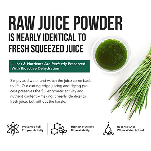 Organic 5 Grass Juice Blend 20x Potency, Raw, ColdPressed