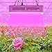 300w LED Grow Light, Upgraded Full Spectrum Reflector-Series Plant Lamp with Heatproof Case for Greenhouse Hydroponic Indoor Plant by Lightimetunel
