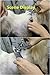 SanSiDo Professional Pet Grooming Scissors Clipper Animal Pet Cat Dog Hair Scissor Shaver Razor Grooming Clipper