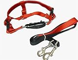 Freedom No Pull Velvet Lined Dog Harness and Leash Training Package Red Large