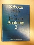 Thorax, Abdomen, Pelvis, Lower Extremities, Skin, , 0806717203