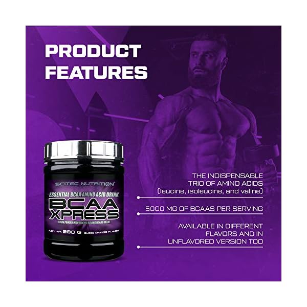 Scitec-Nutrition-BCAA-Xpress-Essential-BCAA-Amino-Acid-Drink-Powder-with-Leucine-Isoleucine-and-Valine-280-g-Cola-Lime Scitec Nutrition BCAA-Xpress, Essential BCAA Amino Acid Drink Powder, Sugar-Free, Gluten-Free and Lactose-Free, 280 g…