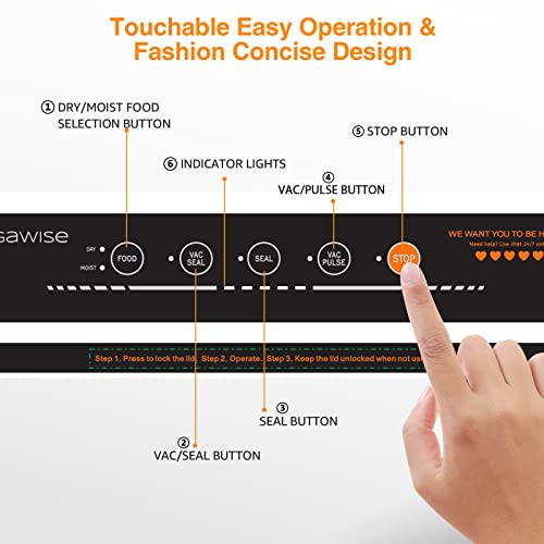 MegaWise Vacuum Sealer Machine 80kPa Suction Power Bags and Cutter