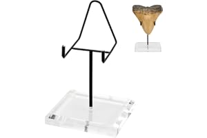 KCGANI 1 Pcs Megalodon Shark Tooth Display Stand, Clear Acrylic Shark Tooth Holder Display Easel Holder for Slab Slice Fossil