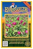 Everwilde Farms - 15 Purple Poppy Mallow Native