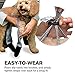 Walkee Paws Waterproof Dog Leggings | Keep Dog's Paws and Legs Clean & Dry On Walks | Protect Paws from Spring Rain, Mud & Summer Heat | Alternative to Dog Shoes | Camouflage (Size: Medium Dog)