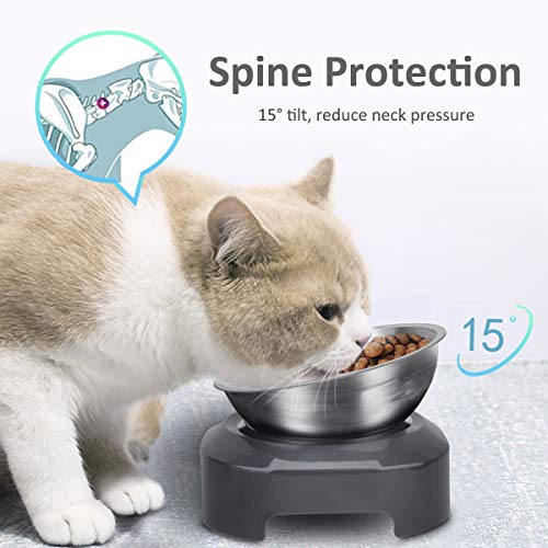 Platos elevados para gatos ergonómicos - Alta Calidad - Envío Rápido