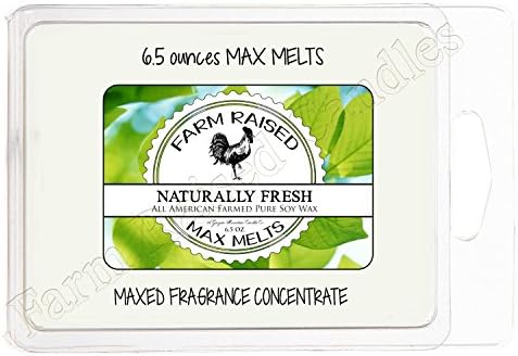 Naturally Fresh Odor Eliminator Scent. MAX Wax MELTS 6.5 Ounces Jumbo Sized. USA Hand Crafted. Candle Wax Melts Tart. 100% All Natural Farm Raised Candles. Similar to Yankee Candle or Scentsy Bars