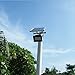 Solar Powered Floodlight/ Spotlight, Outdoor Waterproof Security Light 54led 400 Lumen for Home, Garden, Lawn, Pool
