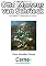 Livro Apresentando pinturas de Otto Marseus van Schrieck Com display TFT programado no Arduino