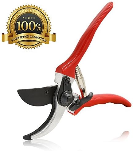 Shears for the Garden, Premium Titanium Garden Shears, Clippers For The Garden, Sharp Bypass Pruning Tools, Tree Trimmer Secateurs with Titanium sharp blades