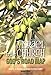 Israel and the Church God's Road Map 9657155029 Book Cover
