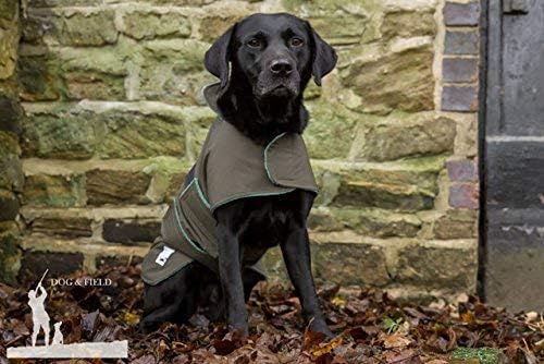 Dog & Field 2-in-1 Waterproof Dog Coat, Green. Microfiber Lined Dog Drying Coat - Image 4
